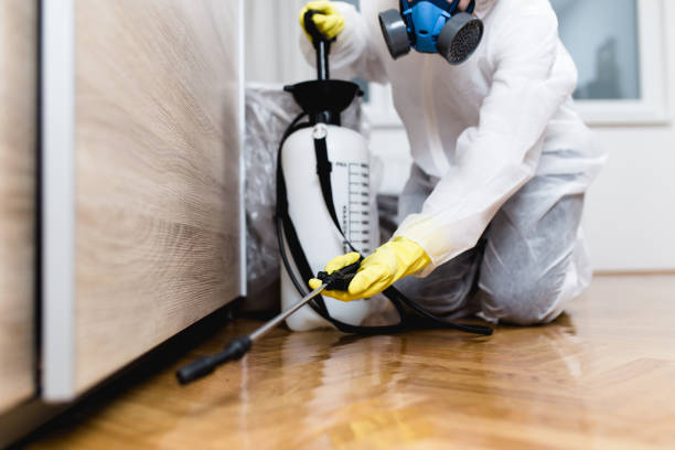 Best Affordable Pest Control Services  in Mountain View, HI