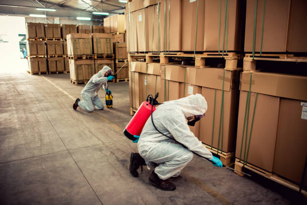 Best Mosquito Control Services  in Mountain View, HI