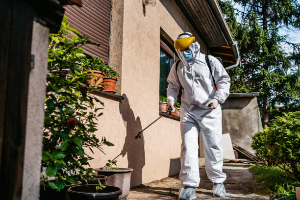 Best Local Pest Control Services  in Mountain View, HI