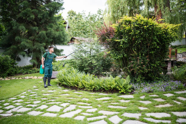 Best Best Pest Control Companies  in Mountain View, HI