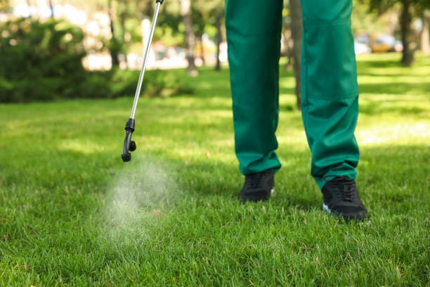 Reliable Mountain View, HI Pest Control Solutions