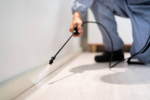 Best Pest Removal Services  in Mountain View, HI