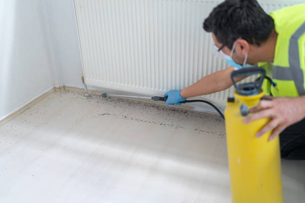Best Exterminator Services  in Mountain View, HI