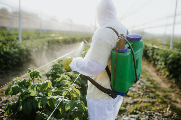 Best Cockroach Control Services  in Mountain View, HI